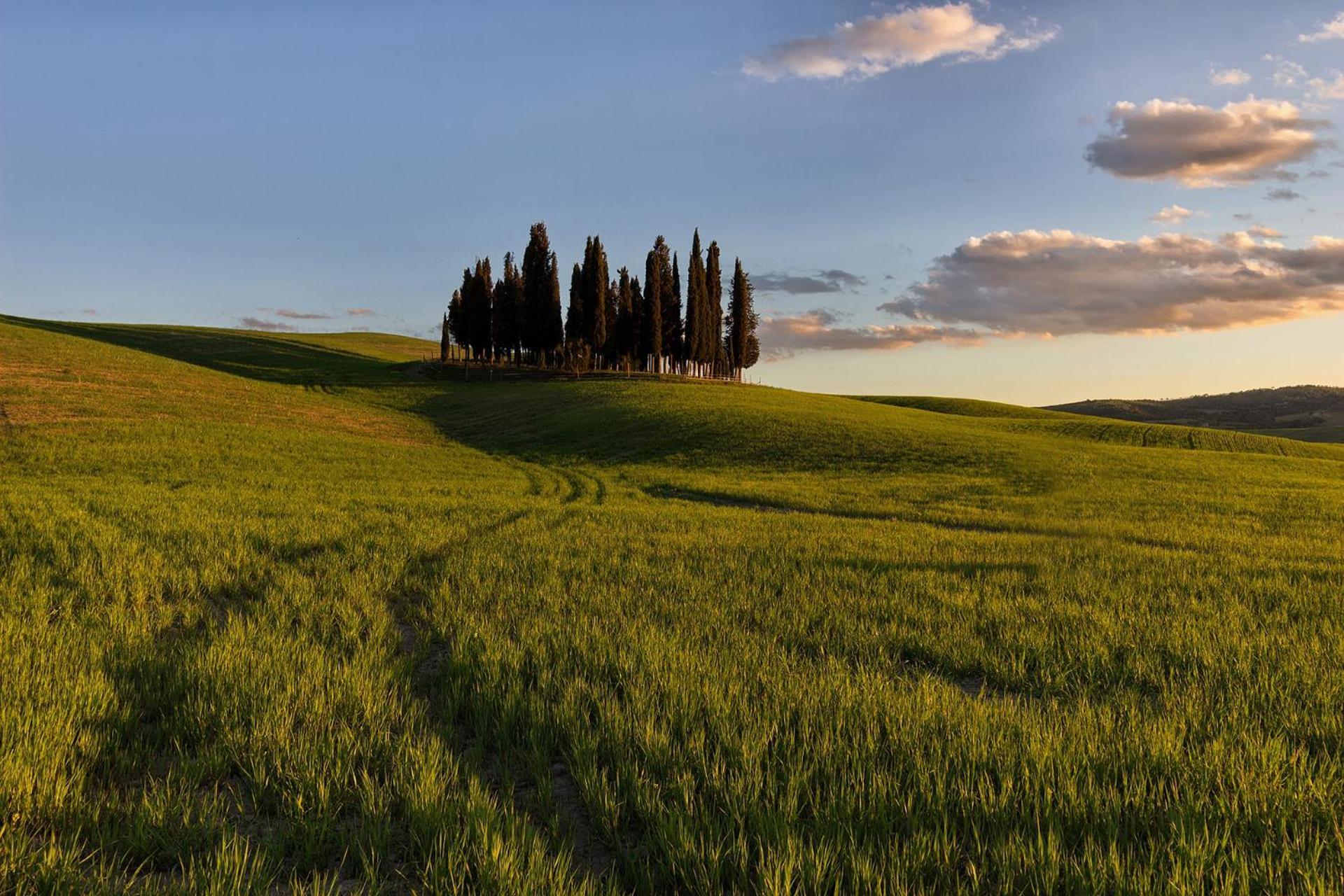 Casa Giulia, Il Gioiello Del Borgo Appartement Certaldo Buitenkant foto